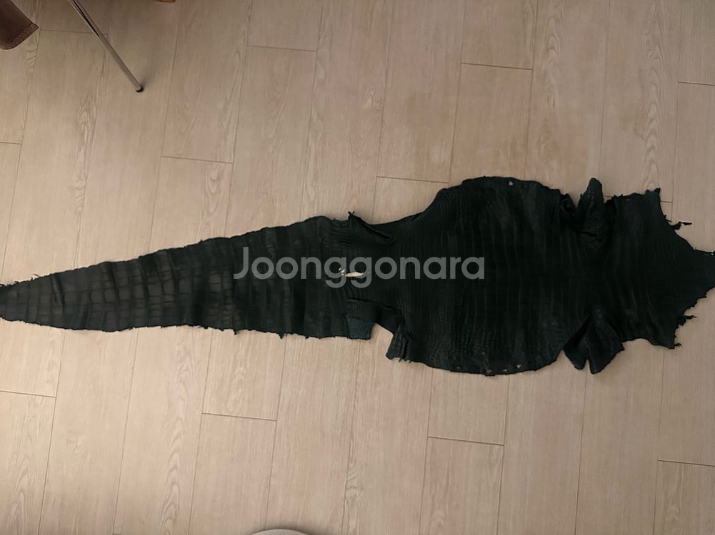 악어가죽/가죽공예/그린컬러--3