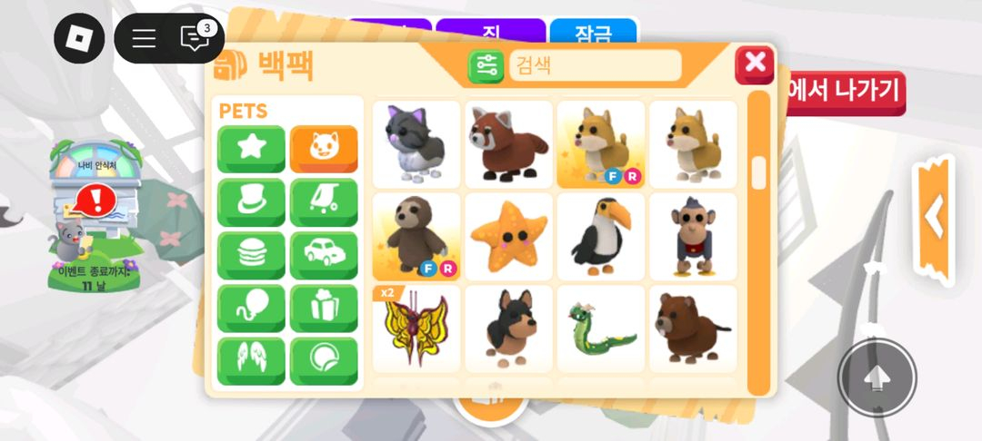 입양하세요 펫 판매 도치 산강 흰순 등등 이미지