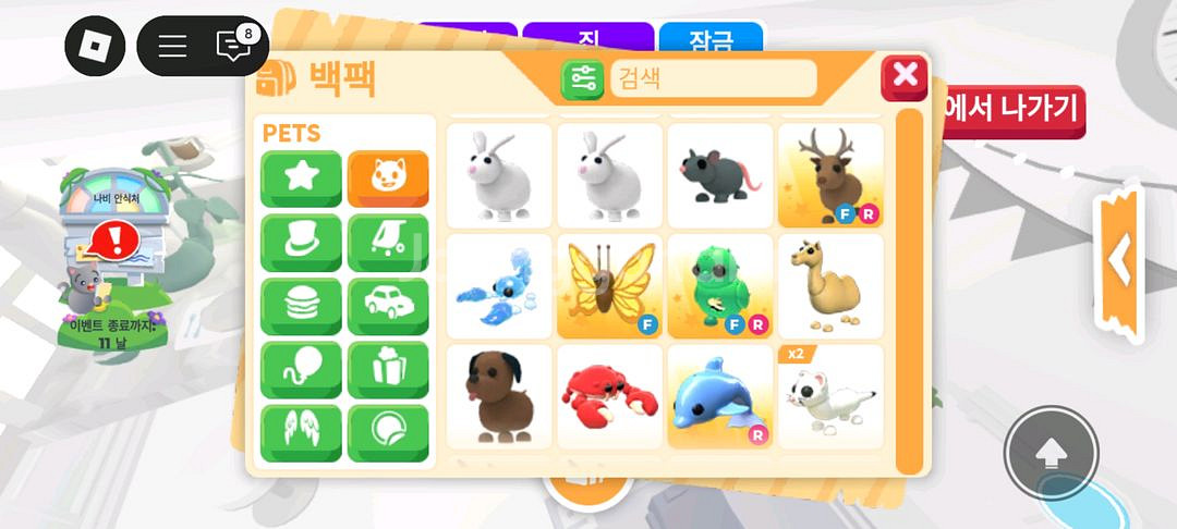 입양하세요 펫 판매 도치 산강 흰순 등등--4