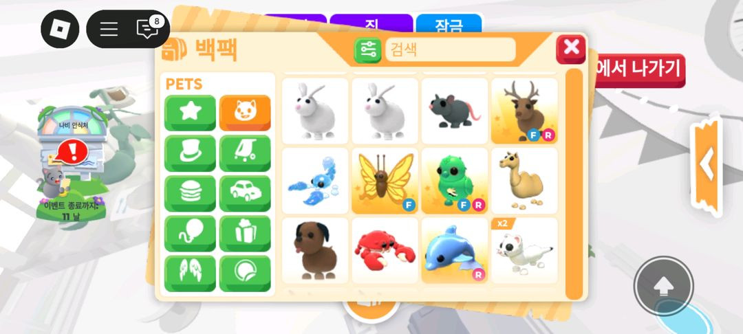 입양하세요 펫 판매 도치 산강 흰순 등등 이미지