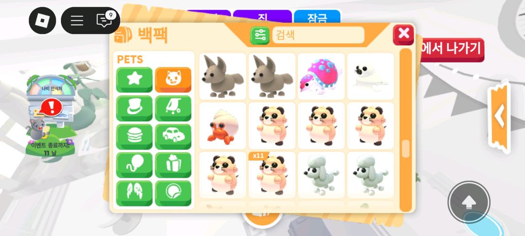 입양하세요 펫 판매 도치 산강 흰순 등등 이미지