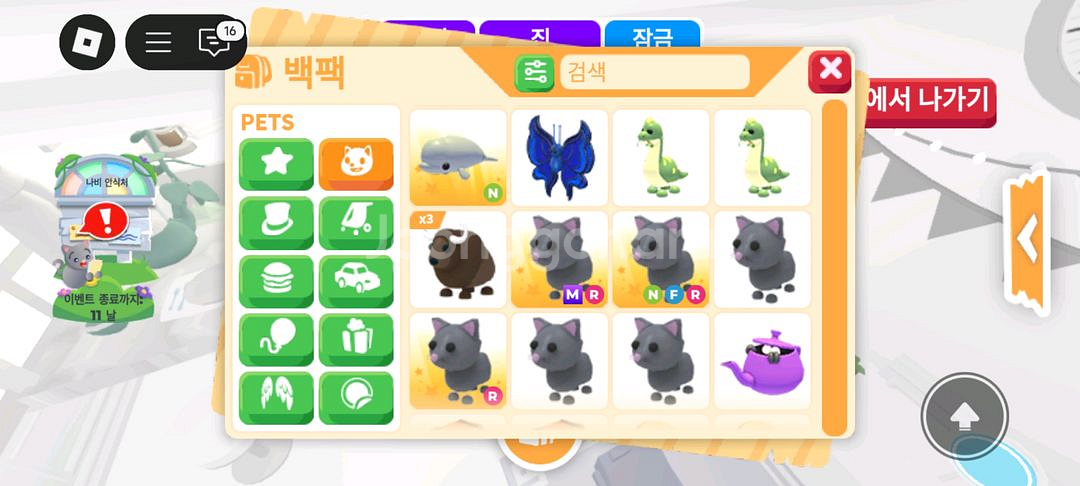 입양하세요 펫 판매 도치 산강 흰순 등등--7