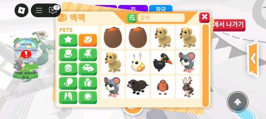 입양하세요 펫 판매 도치 산강 흰순 등등 이미지