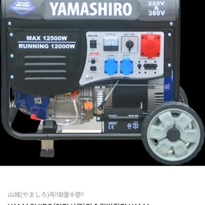발전기12500