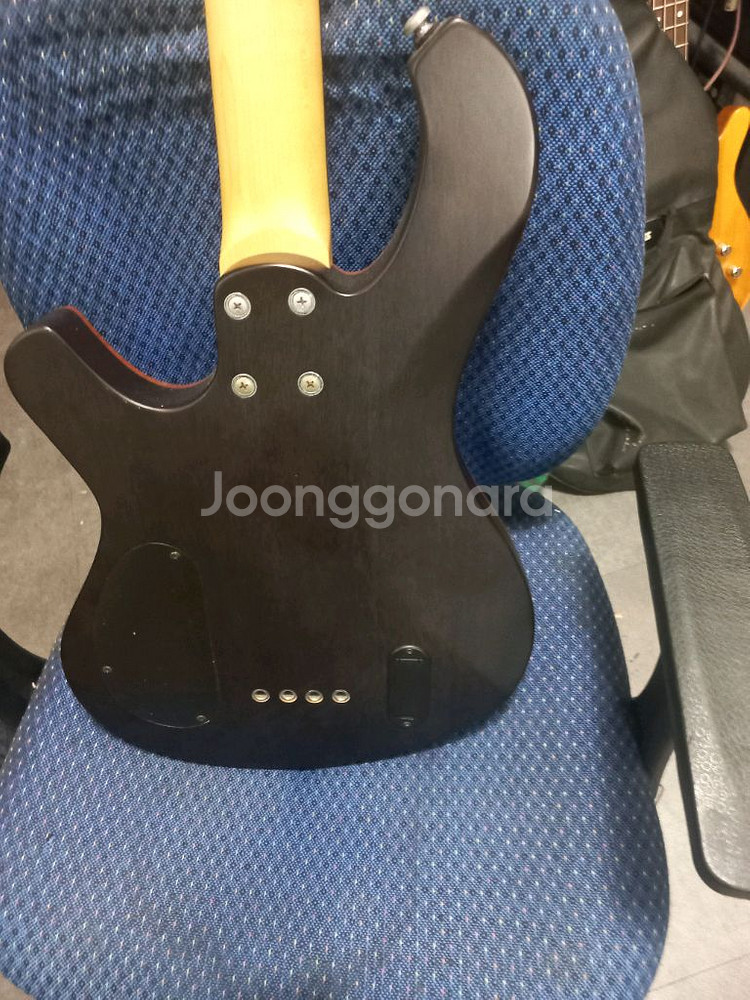 데임 폴앤폴 250베이스기타--3