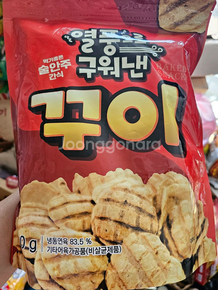 꾸이꾸이--0