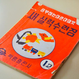 1950-70년대 새실력수련장 근대사 국민학교 고전