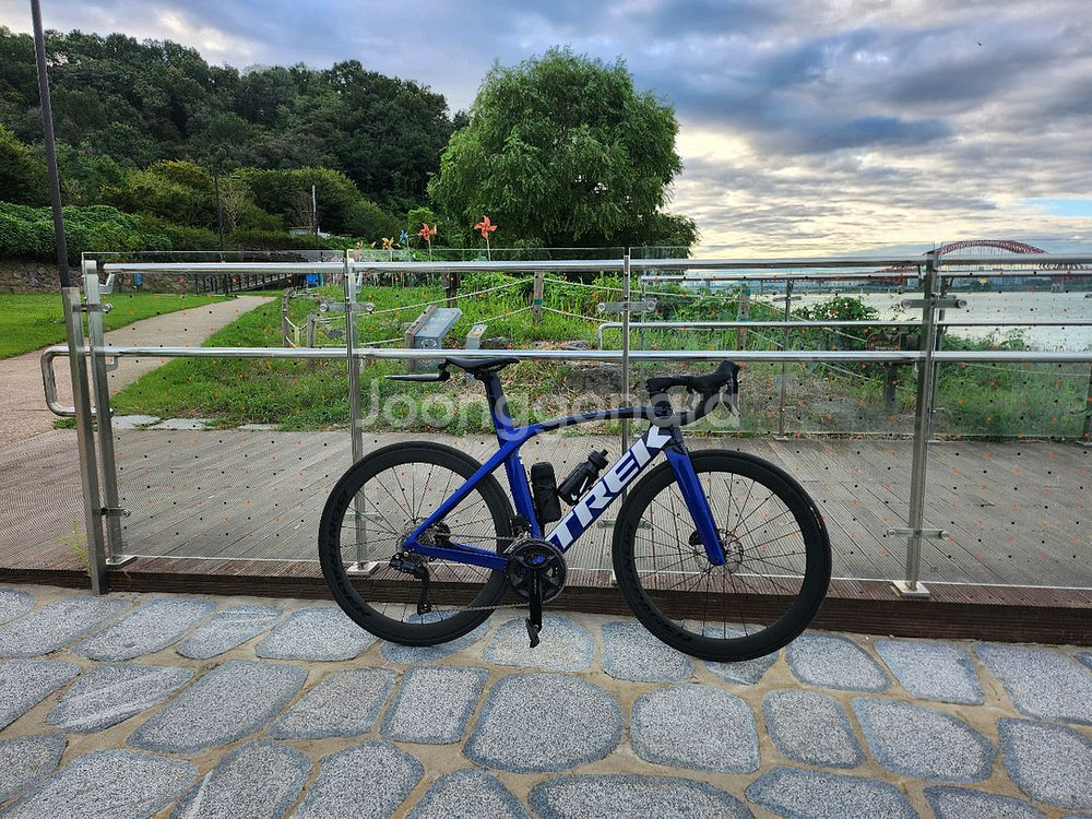 23년 SL6 마돈 판매 합니다--3