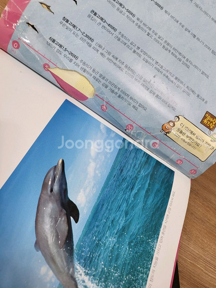 WIDE 탄탄 자연속으로--2