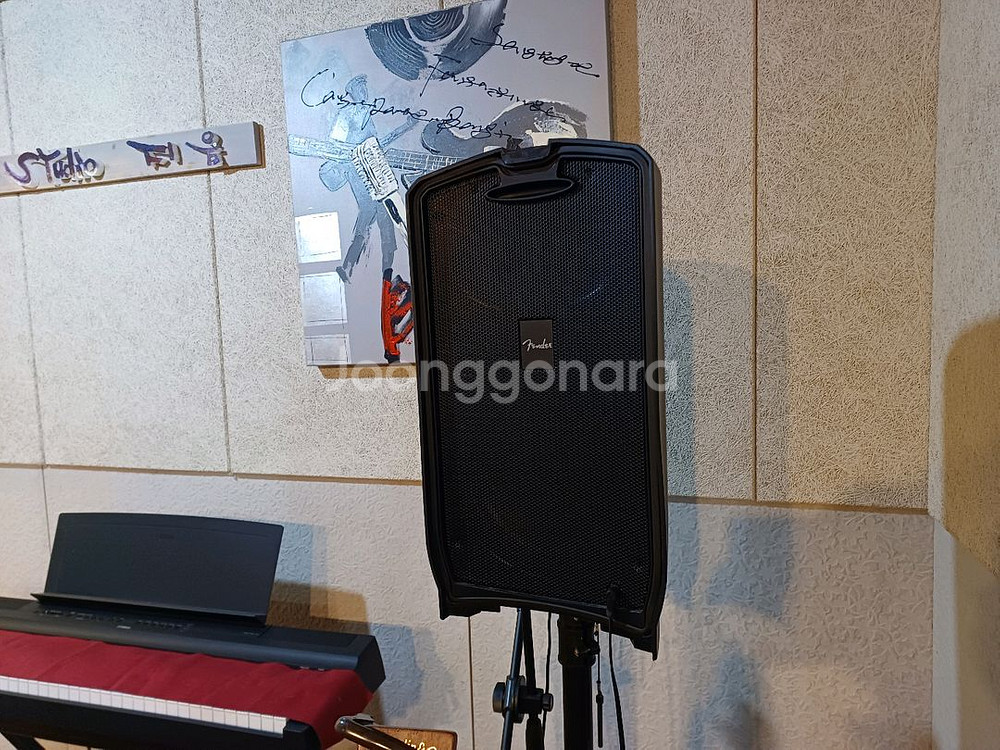 펜더 버스킹 앰프 패스포드 베누--4