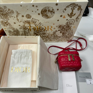 디올마이크로베니티백