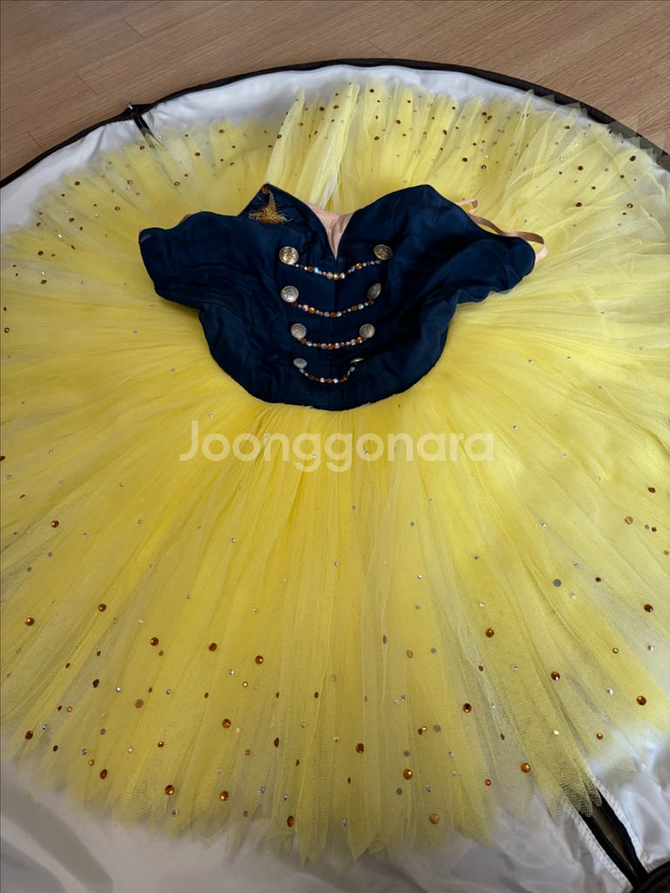 발레의상 성조기--0