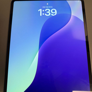 아이패드프로13 m4 256g