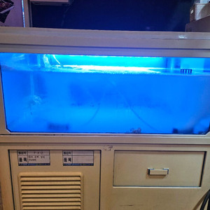 업소용 수족관 이미지