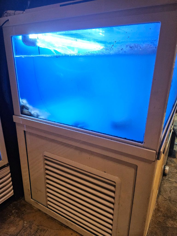 업소용 수족관 이미지