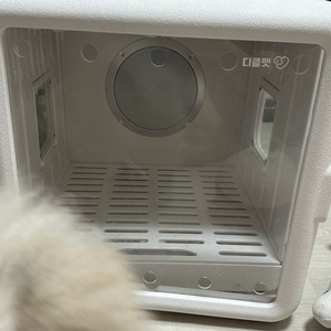 디클펫 강아지 펫드라이룸
