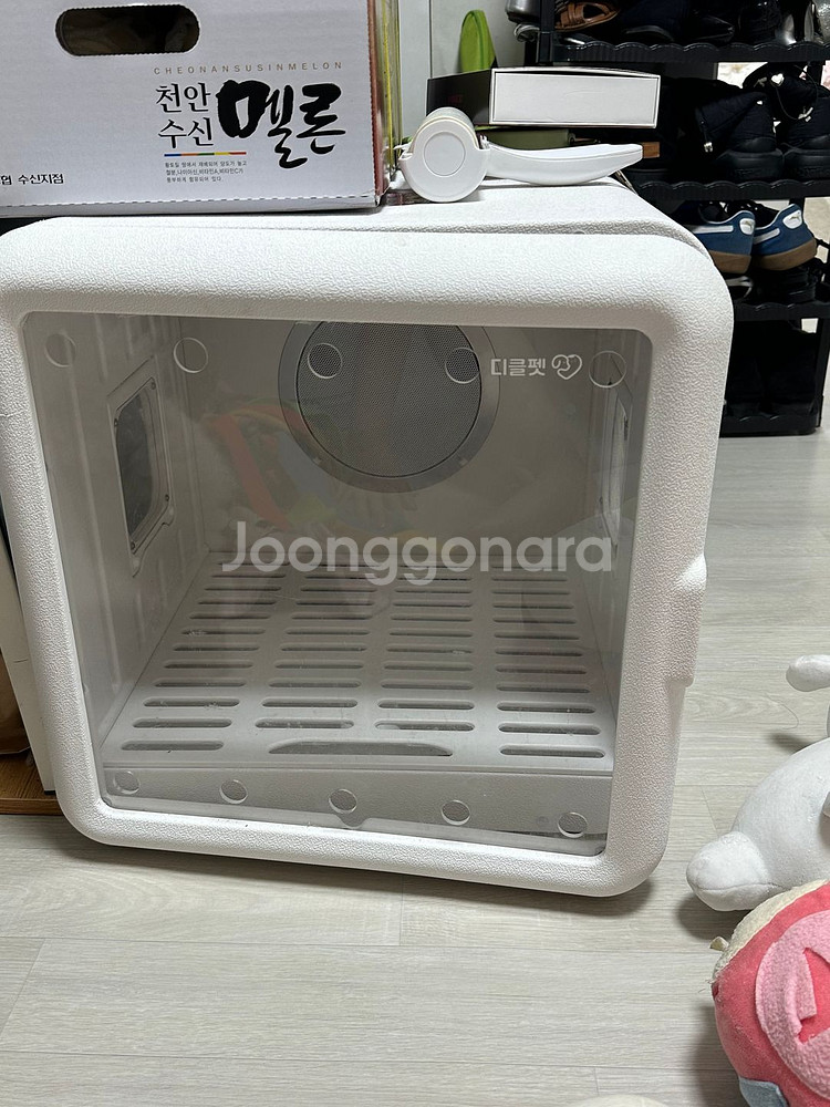 디클펫 강아지 펫드라이룸--1