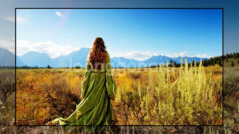 최신 LG 86인치 4K 스마트TV 특가한정판매 !--9