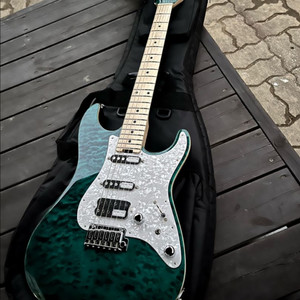 Schecter 쉑터 SD-4-22VTR 일렉기타 판매