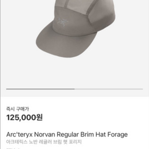 아크테릭스 노반 레귤러 브림 햇 Forage Large
