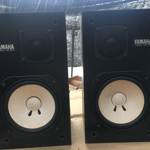 Yamaha Ns-10m