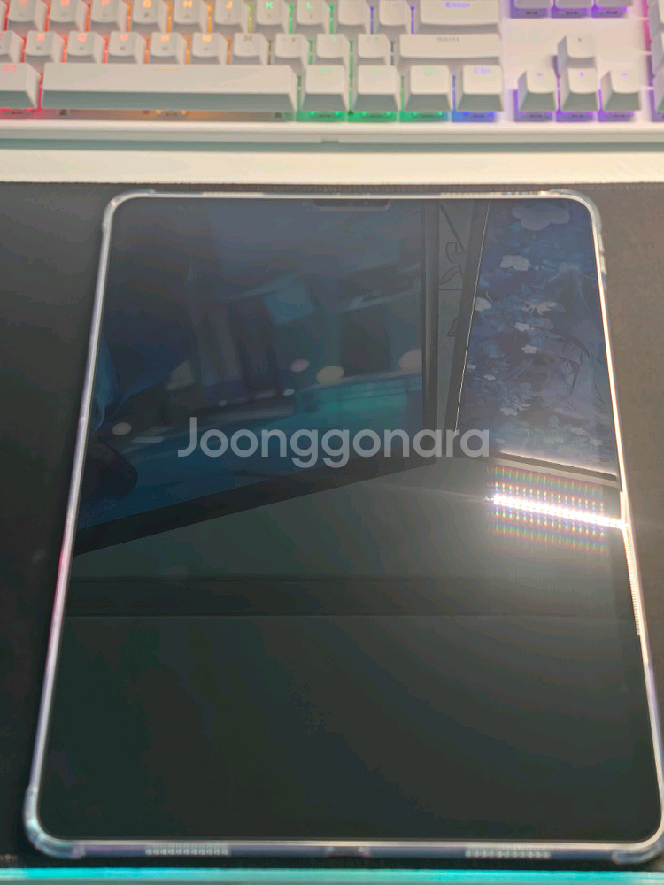 아이패드프로12.9 5세대 M1 128g wifi--3