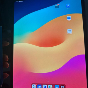 아이패드프로13 셀룰러, 256GB, 스페이스블랙 +