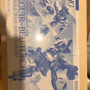 hg 베르귀베우 토르슈 팝니다