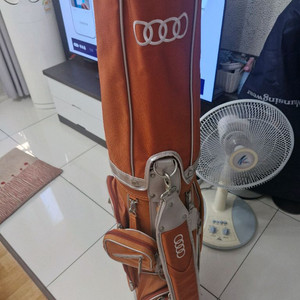 캐디백 모음 사진10장