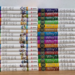 Why? 인문사회학습만화 시리즈