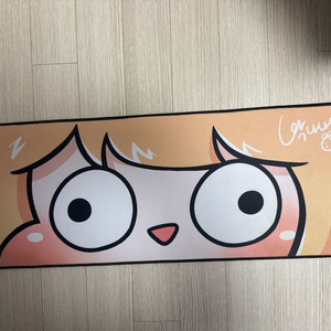 박나나 장패드