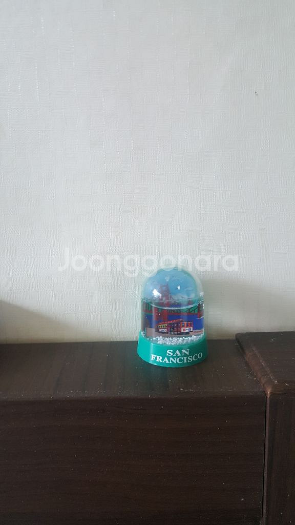 샌프란시스코 스노우볼--0