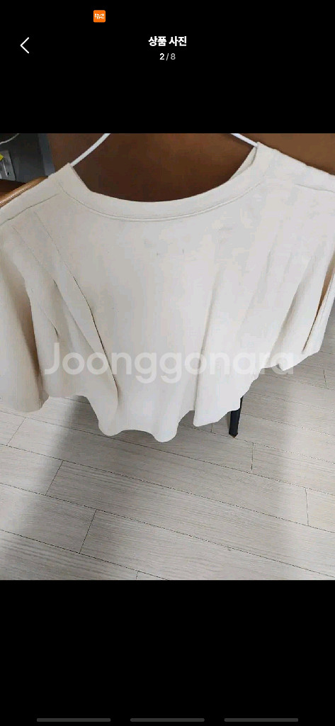 이자벨마랑--1