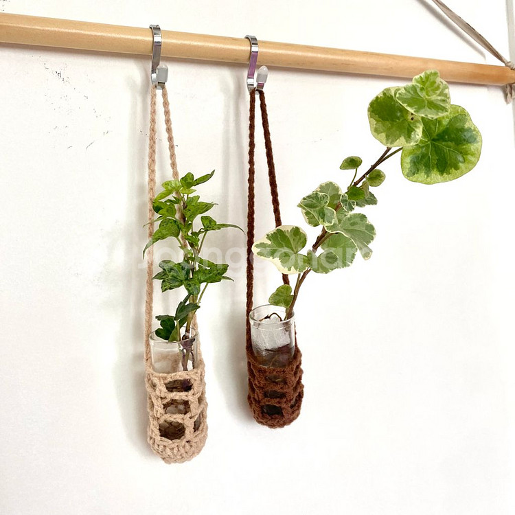 무늬 아이비 수경 일괄 달마시안/ 실버차미 아이비--0