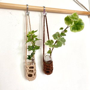 무늬 아이비 수경 일괄 달마시안/ 실버차미 아이비