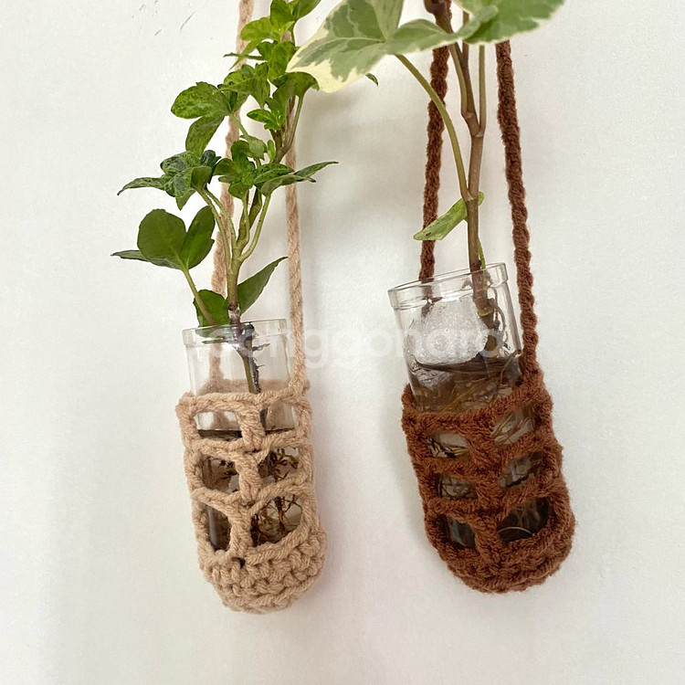 무늬 아이비 수경 일괄 달마시안/ 실버차미 아이비--3