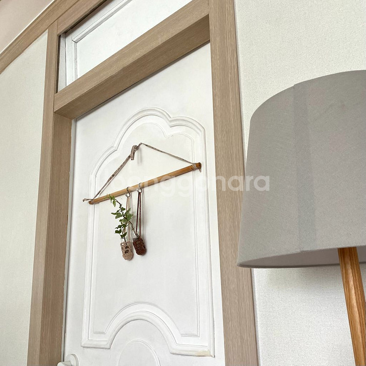 무늬 아이비 수경 일괄 달마시안/ 실버차미 아이비--4