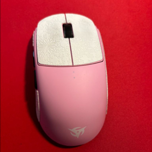 벡시 닌젓소 소라 v2