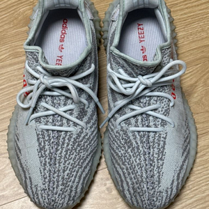 이지부스트 블루틴트 275