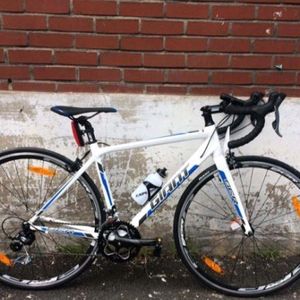 GIANT SCR 2+
