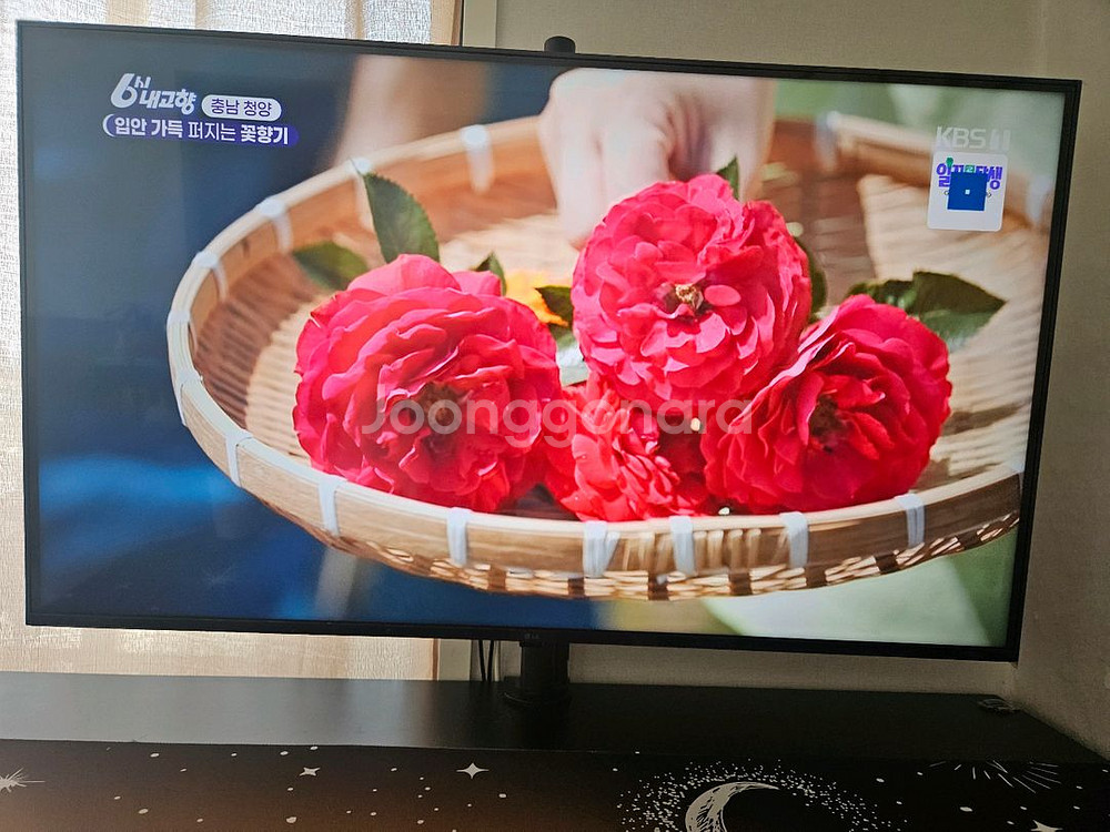 lg 43인치 4k uhd 스마트 모니터 tv--3