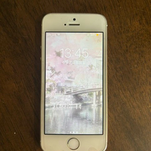 아이폰 5s 골드 16gb