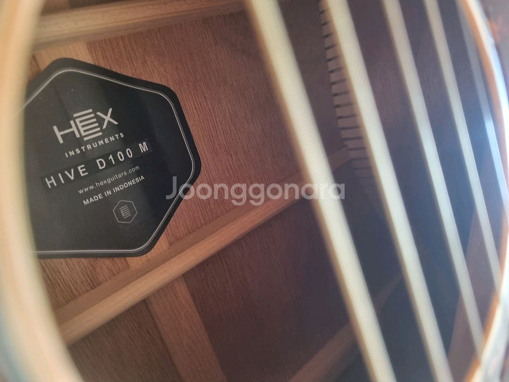 헥스 입문용 D바디 통기타 베스트셀러 기타 판매--5