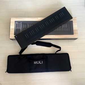 Roli seaboard rise 49 롤리 씨보드