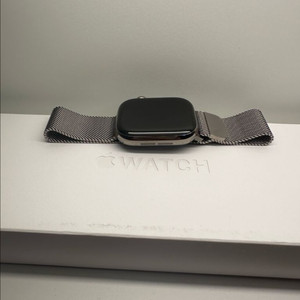 애플워치 10 내추럴 티타늄 42mm +밀레니즈 루프