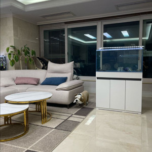 (경기 북부) 프리미엄 3자 광폭 수조 90x45x45