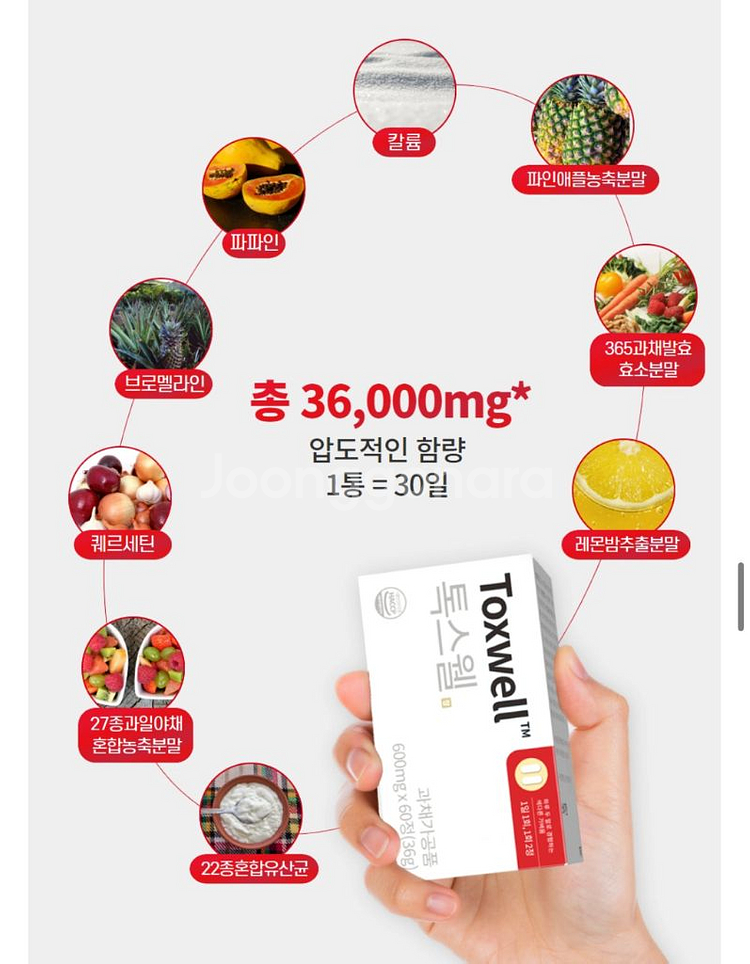 톡스웰 일반+스파이크 새제품 2세트--3