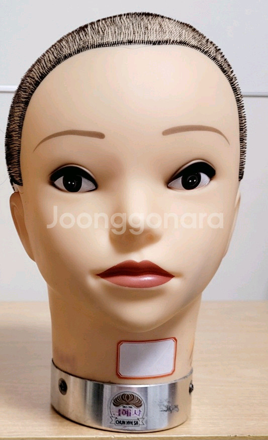 천혜사 레드 통가발 민두--0