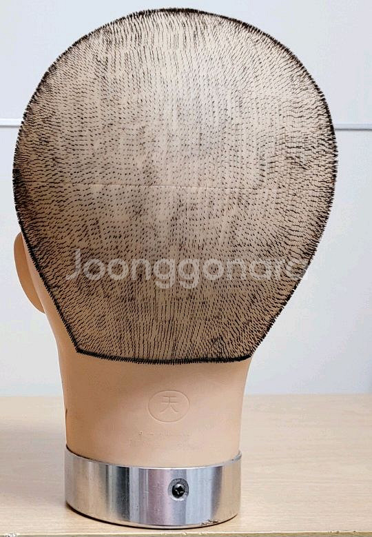 천혜사 레드 통가발 민두--1