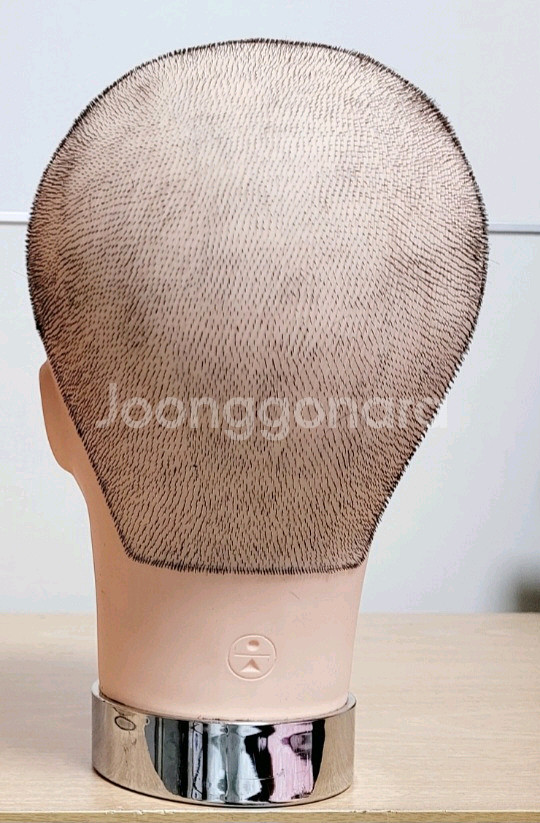 천혜인 헤어 통가발 민두--1
